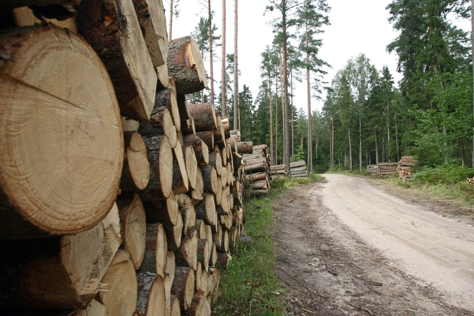 Nauja valstybinės medienos pardavimo tvarka toliau kelia ginčų