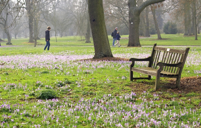Apšvietė Sąjūdžio parką