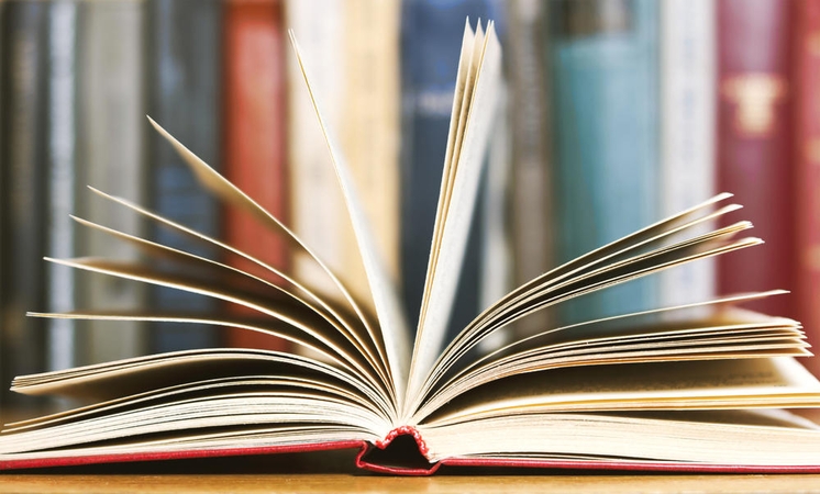 Rašytojų sąjungos premija – poetei G. Kazlauskaitei