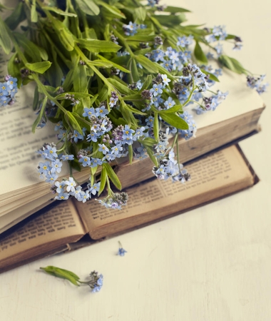 Leidyklos misija – kokybiška literatūra