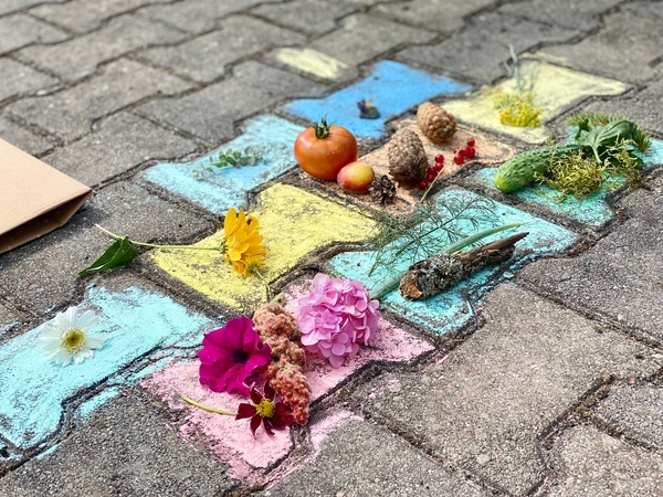 Mažųjų atradėjų akiratyje – gamta
