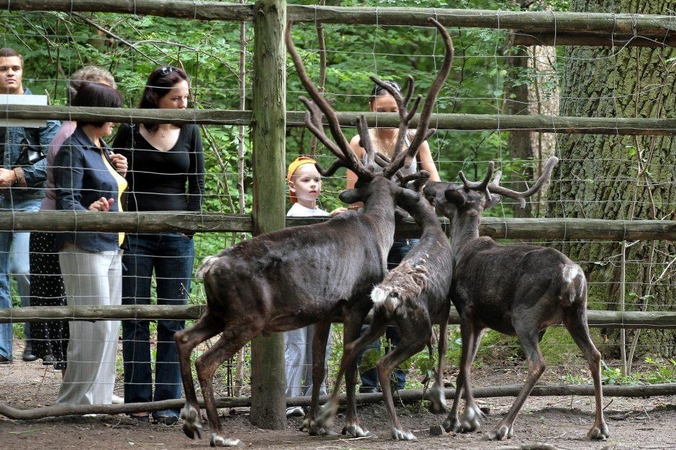 Pasaulinė gyvūnijos diena – egzotiškiausioje Kauno vietoje