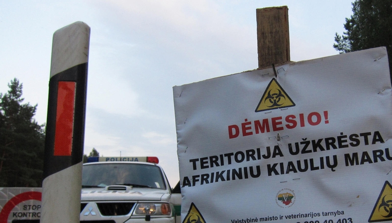Dar vienas kiaulių maro protrūkis – Prienų rajone