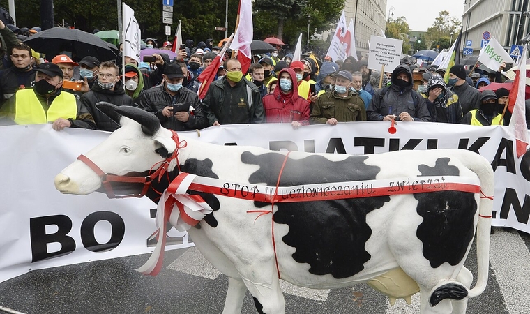 Lenkijos ūkininkai protestuoja prieš gyvūnų gerovės įstatymą