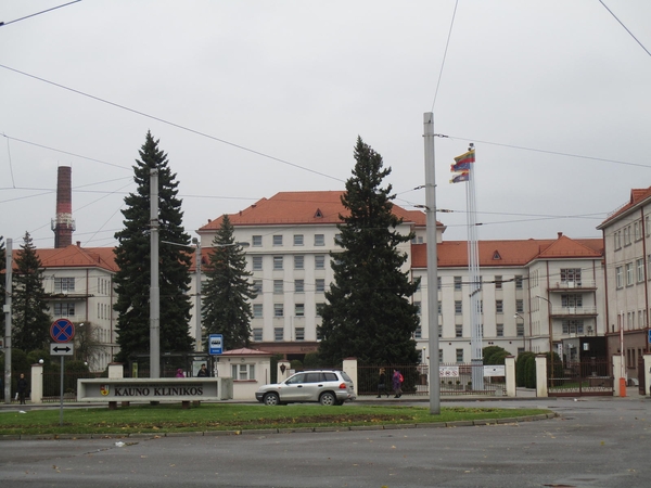 Savęs ieškantys žmonės: savanoriai neaplenkia ir gydymo įstaigų
