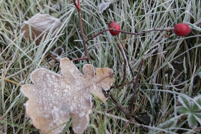 Griaudėjo – laukti šiltos žiemos?