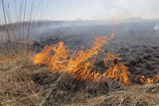 Žolės deginimas baigėsi senolio mirtimi 