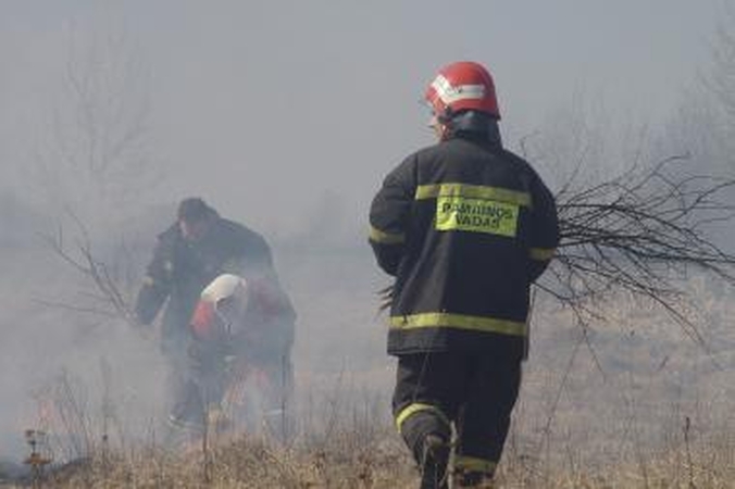 Gesindami žolę rado sudegusią mašiną