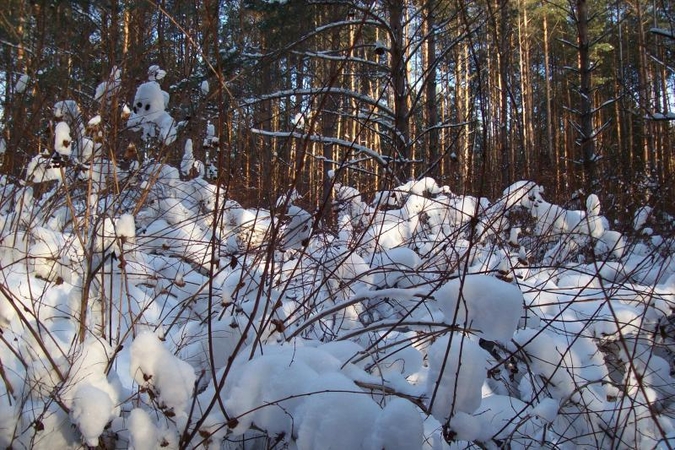 Moterį išprievartavęs vyras: nebuvo sekso, aš - ekshibicionistas