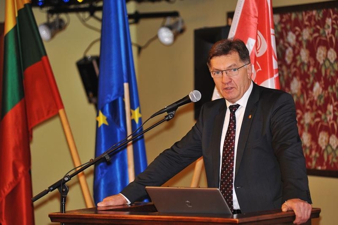 Dėl VAE Vyriausybė apsispręs per porą mėnesių