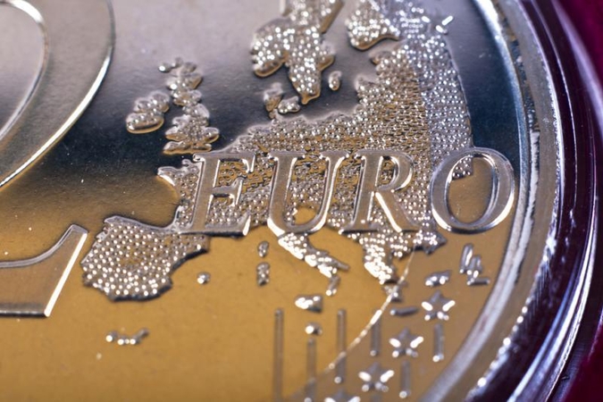 Dėl euro nesutaria ir Lietuvos ekonomistai