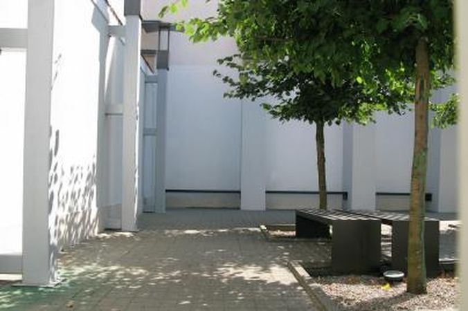 Universitetas ginasi nuo grafitininkų