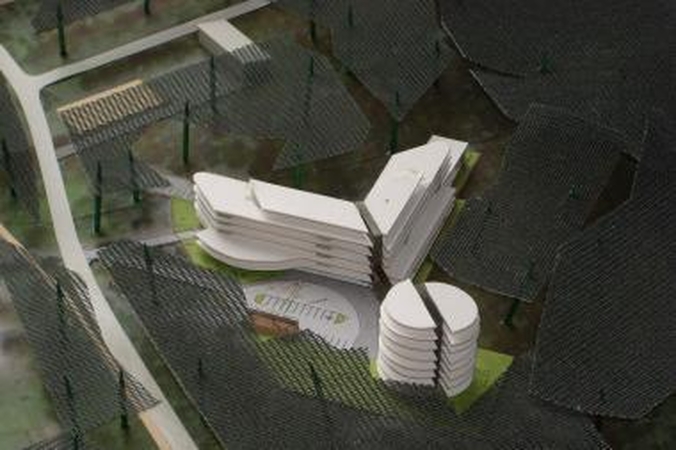 Ekspertai: Girulių miške suplanuota gatvė - nebūtina