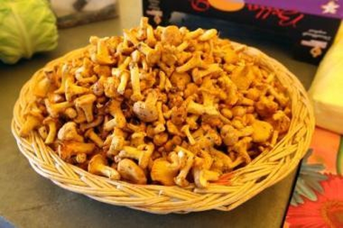 Kaina: dar prieš kelias dienas už kilogramą grybų supirkėjai mokėjo 20 litų, tačiau gausiau užderėjus grybų Lietuvoje, jų supirkimo kaina krito iki 12–13 litų ir dar ritasi žemyn.