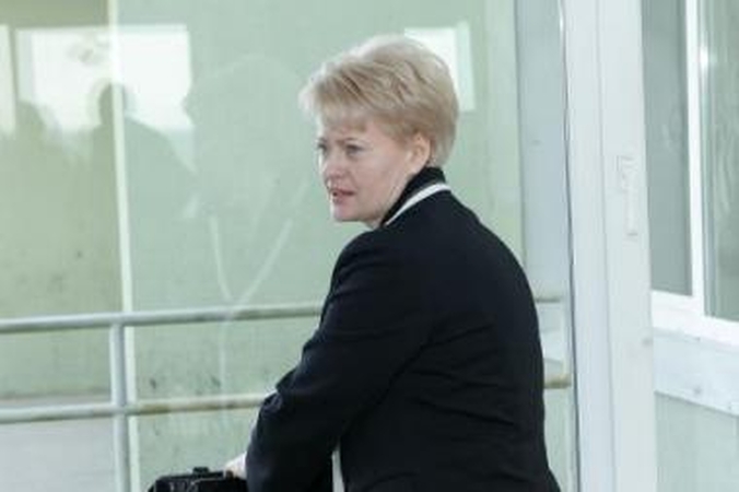 Įdomu: D.Grybauskaitė įsitikinusi, kad Belgijoje už elektrą mokama mažiau, nei Lietuvoje, nors taip nėra.